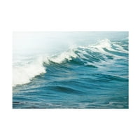 Ian Vinstenli bijeli oceani 66 ulje na platnu