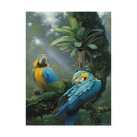 Prepoznatljiva likovna umjetnost papige plave i žute ara na platnu Harro maasa