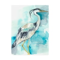 Likovna umjetnost s potpisom splash of the Heron of the American na platnu Jennifer Goldberger