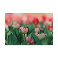 Likovna umjetnost s potpisom ružičasti tulipani na platnu iz mumbo-a